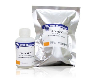 Pro-Prep Protein Extraction