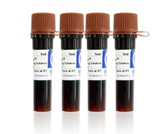 RedSafe DNA Stain (20,000 X)