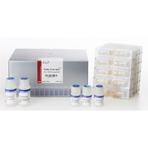 Patho Gene-spin™ DNA/RNA Extraction Kit