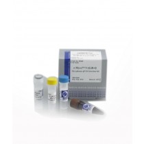 E-Myco VALiD-qPCR Mycoplasma Detection kit