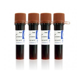 RedSafe DNA Stain (20,000 X)