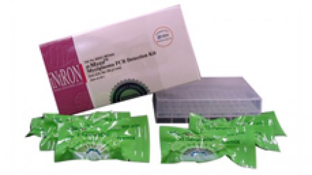  E-Myco PCR Detection kit.